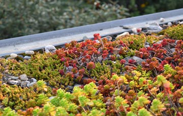 the cost of Farms Common green roof installation